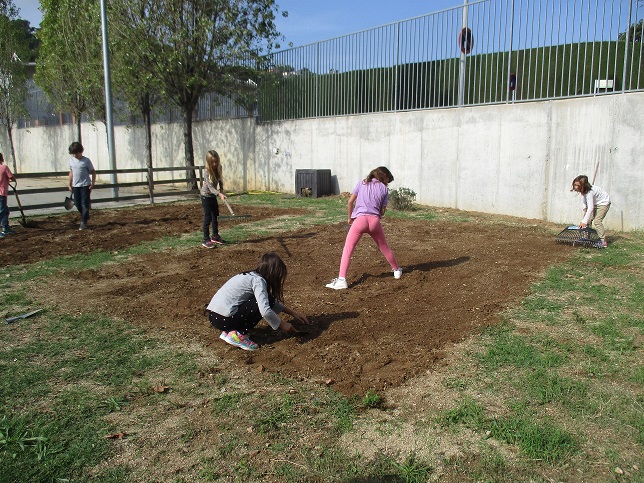 Comencem a treballar en l’hort
