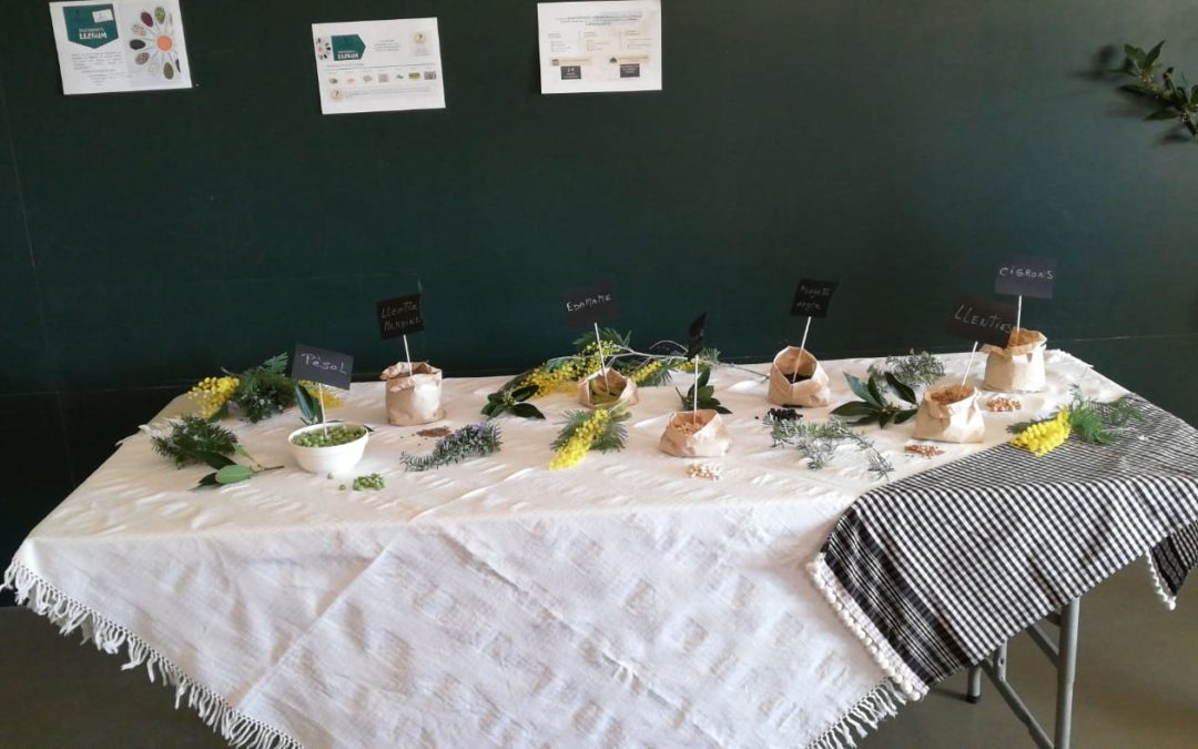 Jornada Gastronòmiques del llegum
